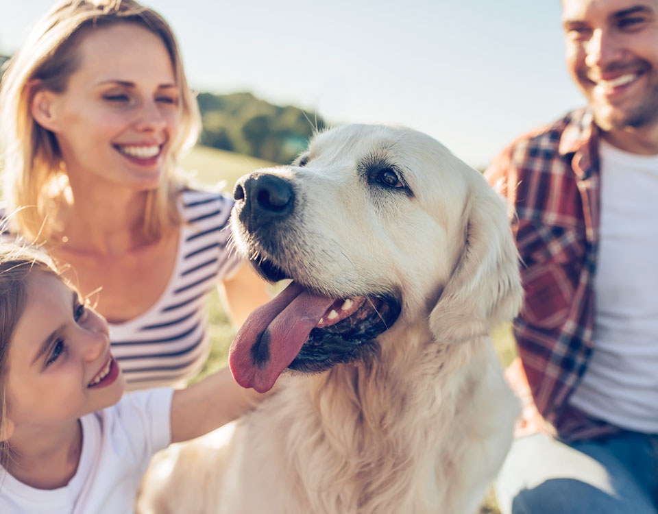 Having pet insurance can ease some of the costs associated with veterinary bills.