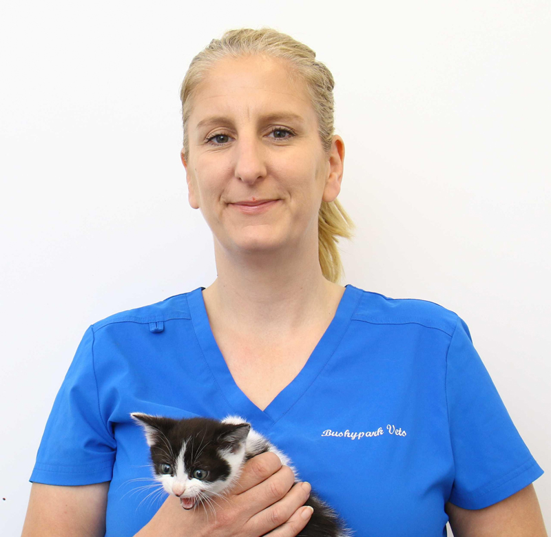 Fiona Linnane qualified as a veterinary nurse from the Royal College of Veterinary Surgeons in 1998 and has a QQI award in training delivery & evaluation.